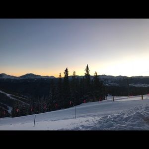 Meet your Posher, Dan